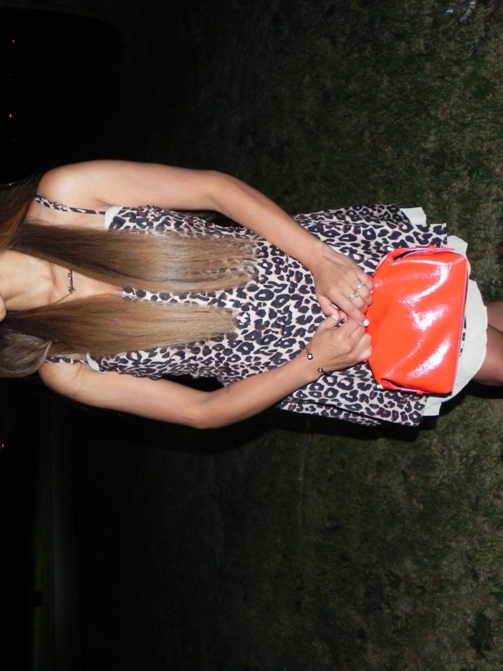 Leopard Print Mini Dress - Picture 3 of 4